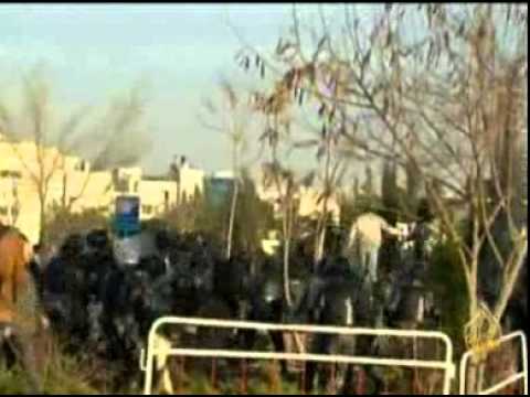 قصة ناشطون الحراك السلمي في الأردن
