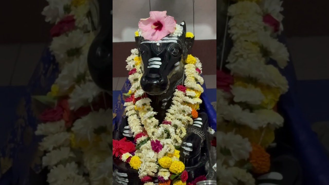 Shivanandi # Shri Basaveshwar Prasanna 🙂 🙏🏻👏🏼👏🏼👏🏼