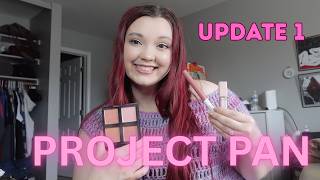 PROJECT PAN UPDATE 1 | Great progress & getting creative with makeup