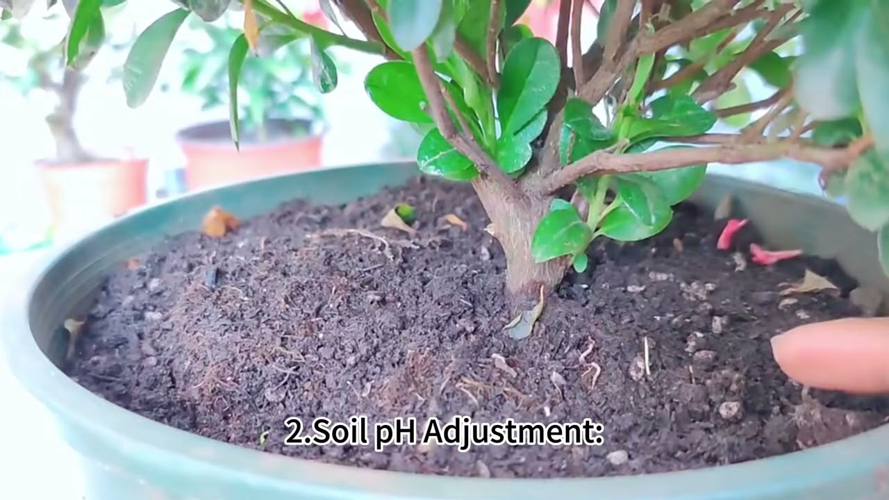 Ferrous sulfate improves soil.ferrous sulphate China manufacturer