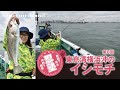 【東京湾のイシモチ釣り】忍塾THE・ムービー08 の動画、YouTube動画。