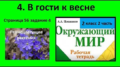 Раннецветущие растения/В гости к весне №4 Окружающий мир 2 класс