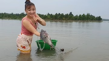 Giăng Lưới Ba Màng Trên Ruộng Dính Cá Khủ.ng Nướng Muối Ớt Siêu Cay.