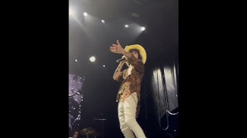 LP - LOY ❤️❤️❤️