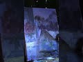 Пишу ночной пейзаж с натуры. Shorts