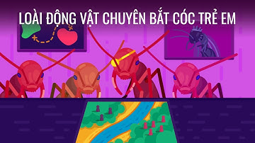 Loài động vật chuyên bắt cóc trẻ em