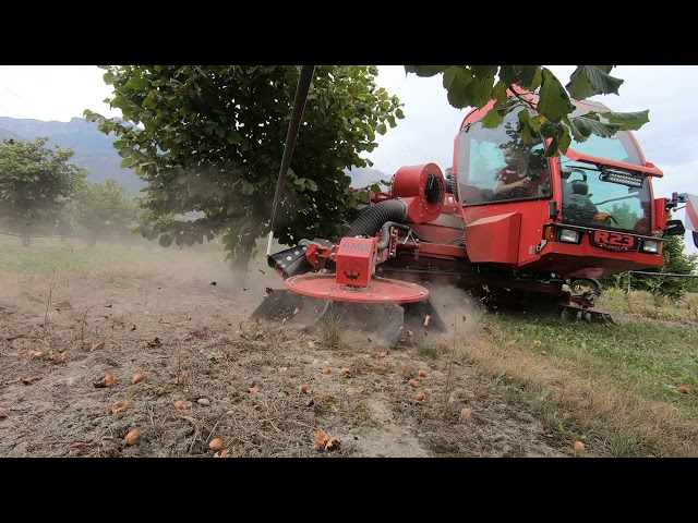 Hazelnut harvester R23 AMB Rousset class=