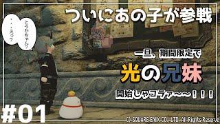 【 #FF14 】１１回目：四日間限定！ついにあの子が参戦するぞ！！！〜 #光の兄妹 （Gaia／Ultima）
