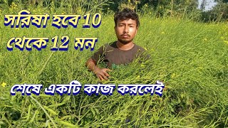 Voyaga yetgan swingerlarning g‘alayonlari