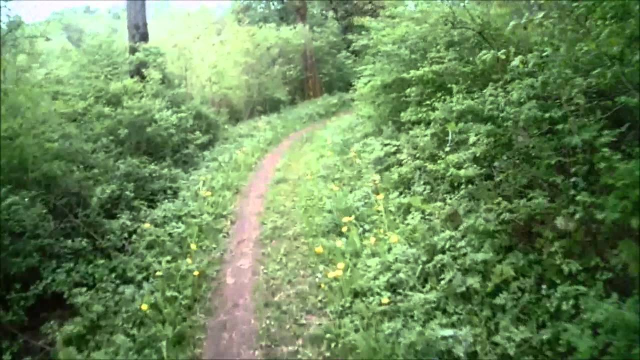 Singletrail pegnitz