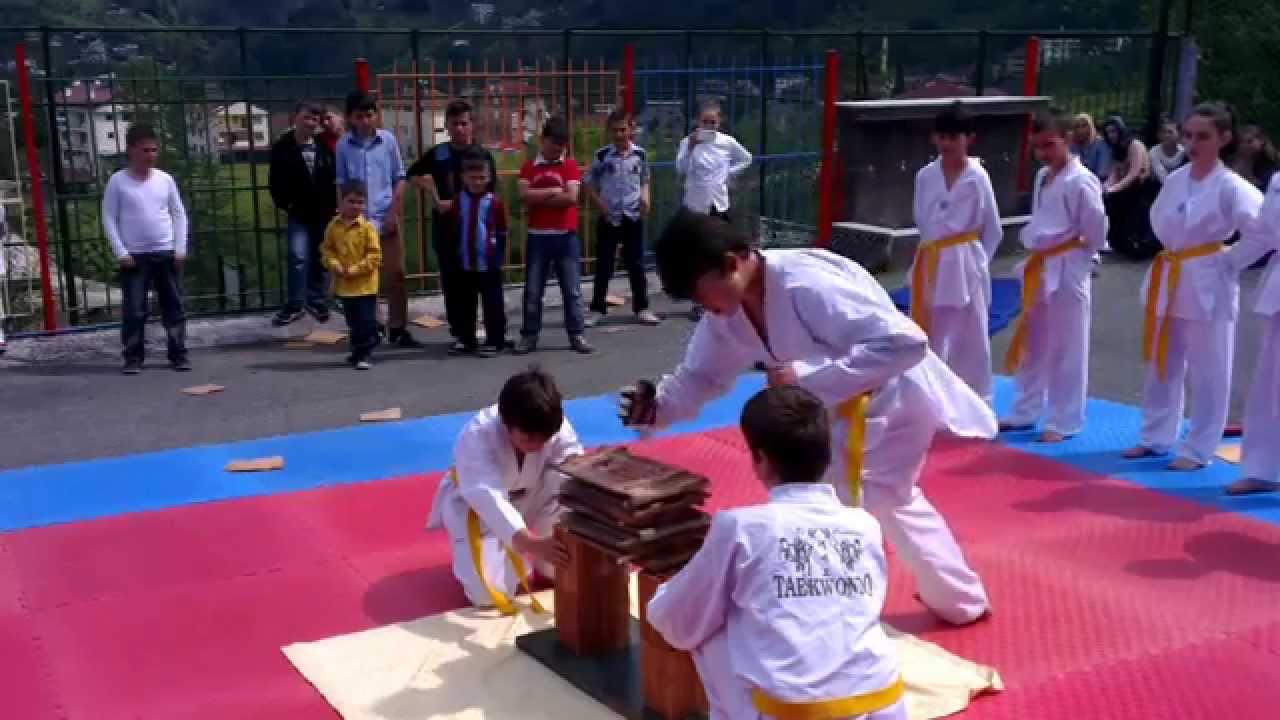 23 nisan taekwondo gösterisi