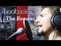Hoobastank - The Reason (Cover by Eldameldo)