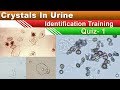 Crystals in urine identification training quiz  part 15 