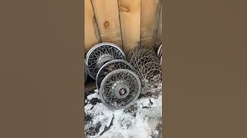 My hub cap collection