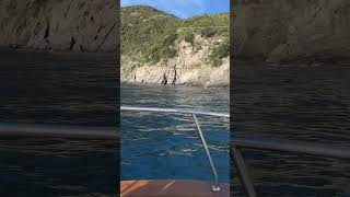 Boat views around Cinque Terre 🇮🇹🚤#cinqueterre #italytravel #boatlife #seaview #travelitaly