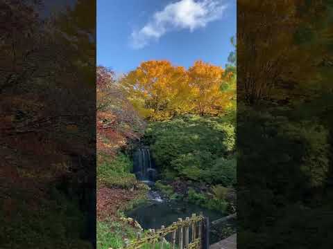 Sunny autumn day at Wakehurst Place, England