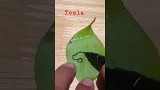 one line drawing of tesla car on a leaf viral aram_nabeel   fypシ