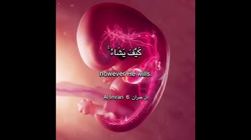 سورة آل عمران الاية 6 ‏Surah Al Imran Ayahا#quran #surahallmran #القرآن #chorts #راحة_نفسية