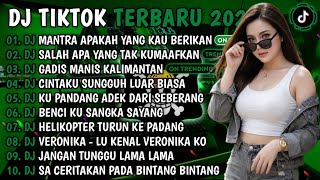 DJ TIKTOK TERBARU 2026 | DJ MANTRA APAKAH YANG KAU BERIKAN🎵DJ SALAH APA YG TAK KUMAAFKAN🎵FULL ALBUM