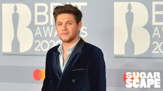 Niall Horan&#39;s Best Red Carpet Moments
