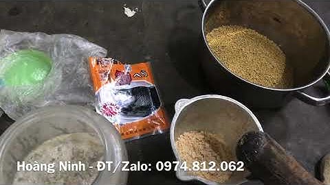 Hướng dẫn làm mồi câu đơn, câu đài - Cá chép, trôi - Tự nhiên