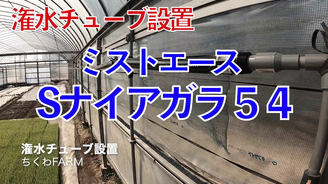 冠水チューブ スミカ ミストエースナイアガラ54