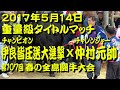 伊良皆圧送大進撃x仲村元帥 2017.5.14(重量級タイトルマッチ) 【沖縄闘牛】