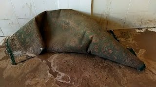 Heavily soiled the biggest carpet dirty carpet cleaning satisfying rug clean ASMR