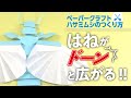 【2020年11月号付録】ペーパークラフト ハサミムシのつくり方【子供の科学公式チャンネル】