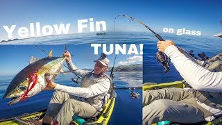 Beating the odds in FLAT calm conditions | kayak fishing Hawaii
