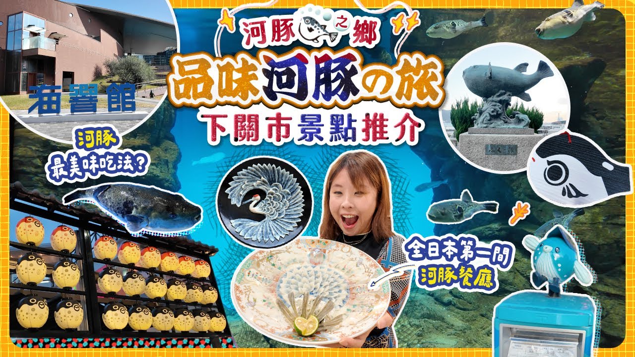 曾被禁食! 日本品味河豚之旅｜河豚之鄉就在山口縣下關市!! 試食全日本第一間解禁的河豚餐廳 春帆樓 