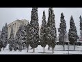 Крым, Судак, Набережная и Кипарисовая Аллея 25 января 2022 под снегом: такого снегопада не ждали