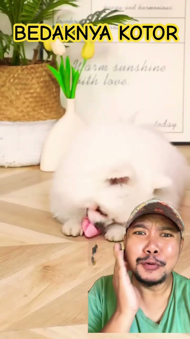 BEDAKNYA KOTOR DEH KAKAK!!!?? #funny #dog #pets #makeup #memes #smartnico