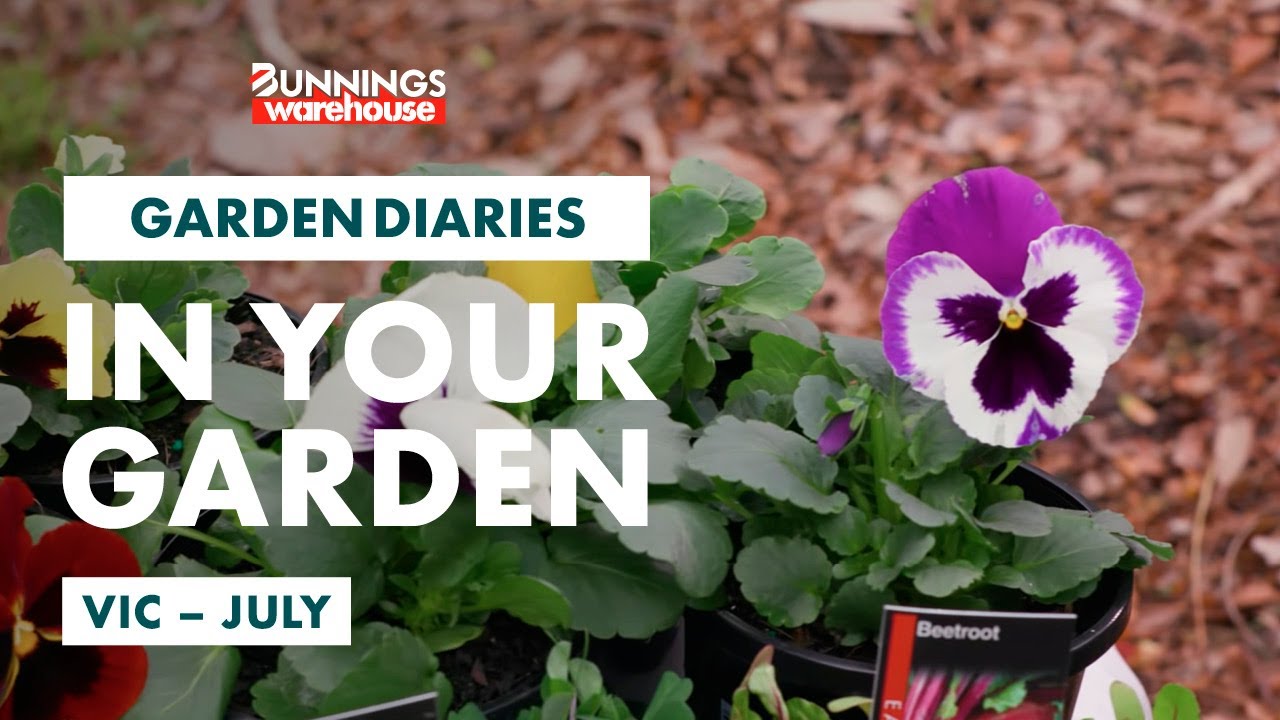 Gardening In July Vic Bunnings Garden Diary Youtube