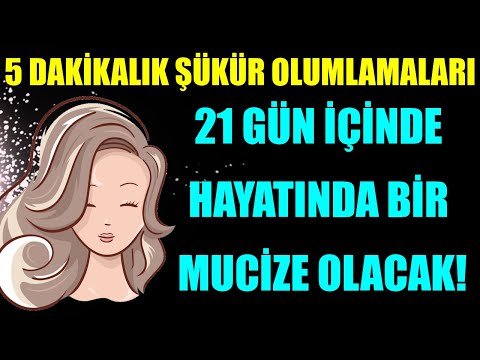 Video: Bu Şükran Günü Köpeğinize Teşekkür Etmenin 10 Yolu