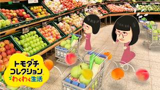 遂に「あの姉妹」がやって来た「トモダチコレクション わくわく生活」