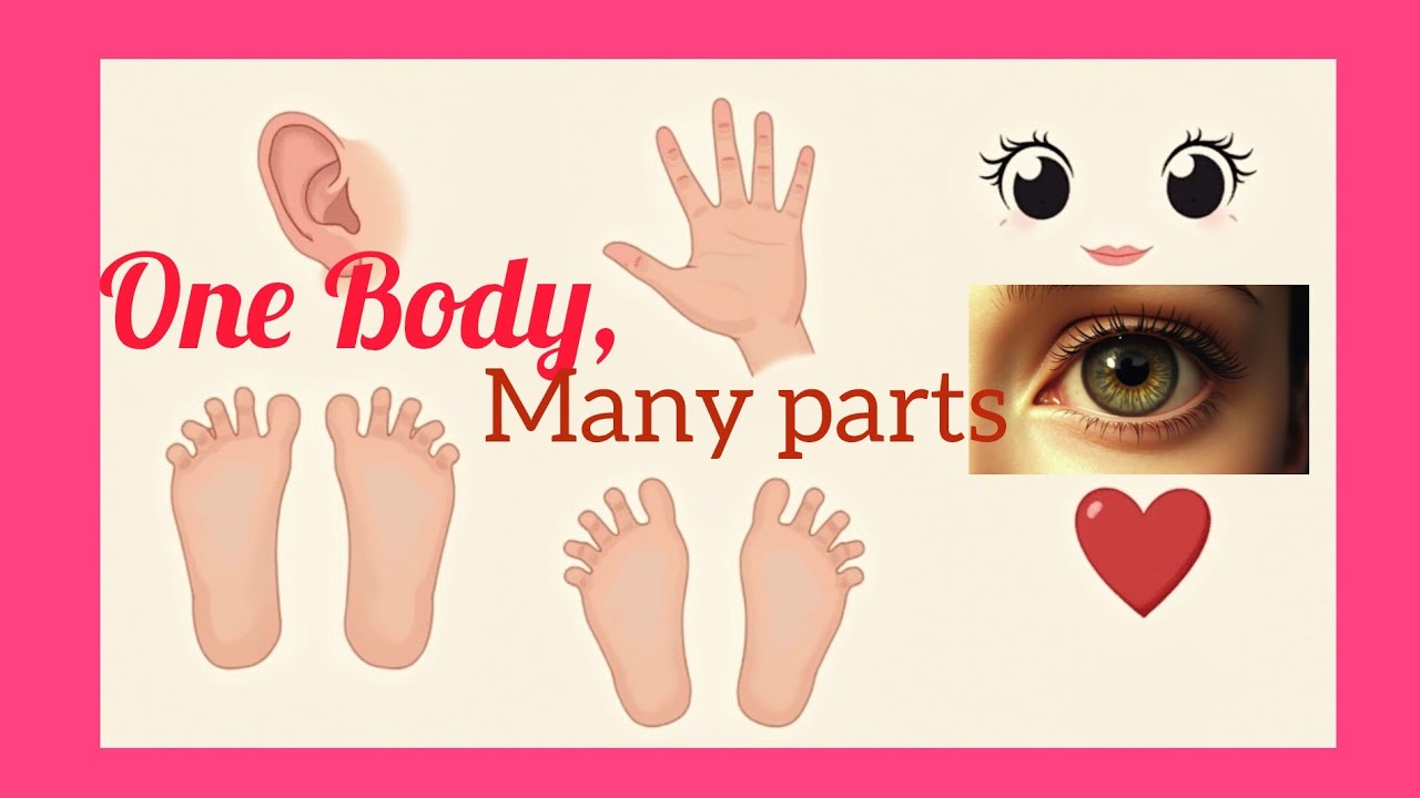 One Body, Many parts | 1st Corinthians 12:12-27 |Unity in our Differences | Kids Bible Stories 
