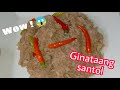 Ginataang santol Recipe I How to cook Ginataang santol