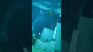 Havuzburada Im Im Çvideolar