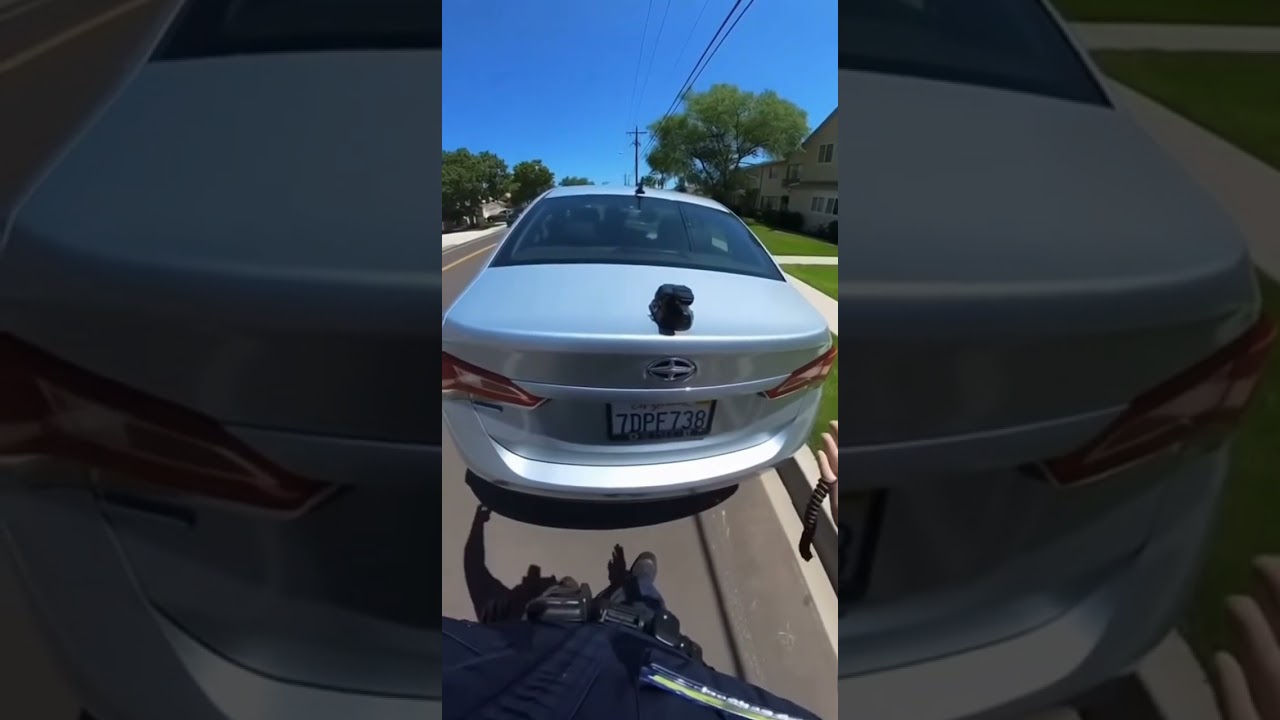 Cat Drives Away From Traffic Stop