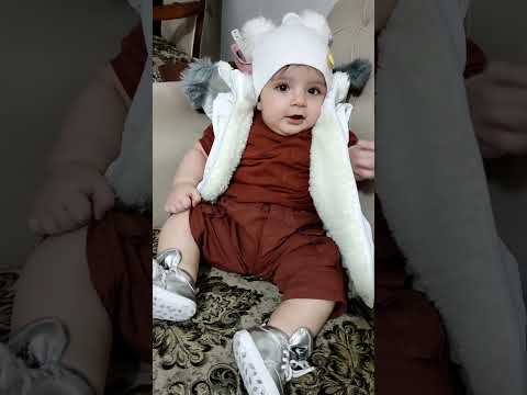 شاهان شاپسر جیگر قند عسل مدل بامزه پسر عشق