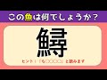 【魚へんの難読漢字 全20問】難しいけどタメになる！難問読みクイズ問題を紹介【高齢者向け】