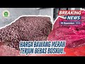 HARGA BAWANG MERAH KEMBALI MEROSOT BOSKU | UPDATE TERBARU INFO HARGA BAWANG MERAH