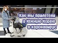 Приезд в Южную Корею в коронавирус. Подробное описание всего происходящего в аэропорте🛬Декабрь 2020