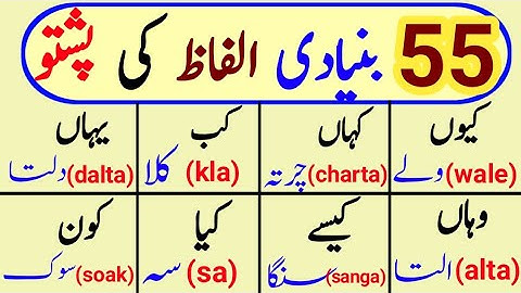 basic pashto words | pashto basic words with urdu meanings|learn basic pashto vocabulary