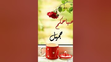 دعاء الصباح#دعاء #دعاء_الصباح #اذكار_الصباح #اكسبلور #اسلاميات #حسام المعصبي