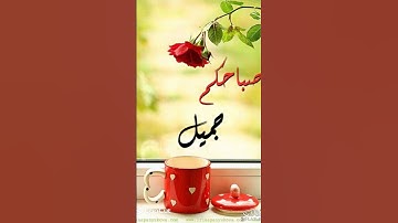 دعاء الصباح#دعاء #دعاء_الصباح #اذكار_الصباح #اكسبلور #اسلاميات #حسام المعصبي