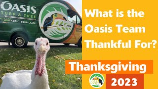Thanksgiving 2023 by Oasis Turf & Tree 65 views 6 months ago 6 minutes, 51 seconds