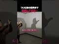 ついに、影の世界までも…