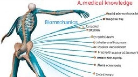 chapter 11 Angular kinematics of human movement Part 1@A.Medicalknowledge